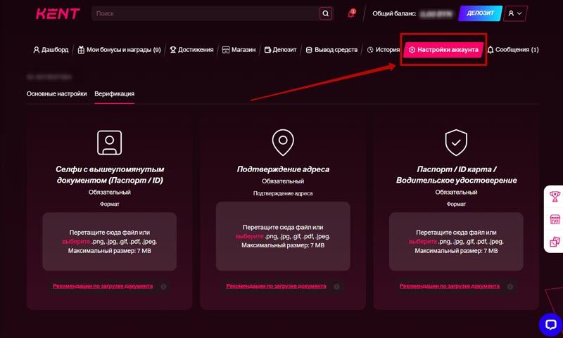 Прохождение идентификации